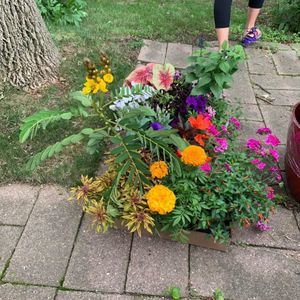 Meet your Posher, Jody